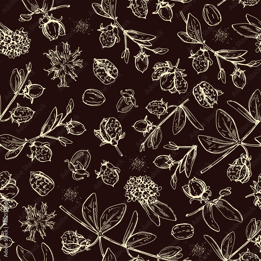 Seamless Pattern with Jojoba branches with fruits and flowers, leaves. Fruit jojoba in a peel and without . Detailed hand-drawn sketches, vector botanical illustration. Seamless Pattern with Jojoba branches with fruits and flowers, leaves. Fruit jojoba in a peel and without . Detailed hand-drawn sketches, vector botanical illustration.