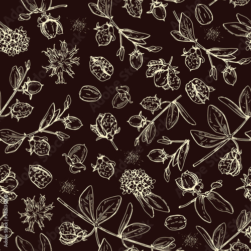 Seamless Pattern with Jojoba branches with fruits and flowers, leaves. Fruit jojoba in a peel and without . Detailed hand-drawn sketches, vector botanical illustration.