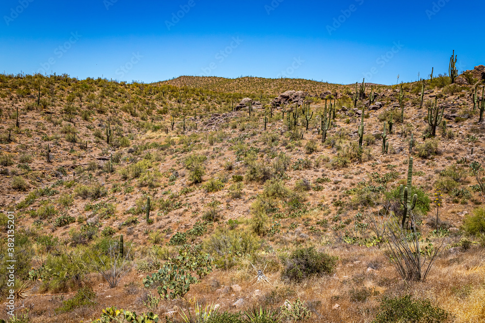 Apache Trail Scenic Drive View