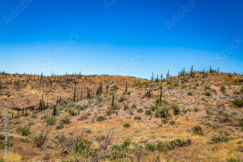 Apache Trail Scenic Drive View