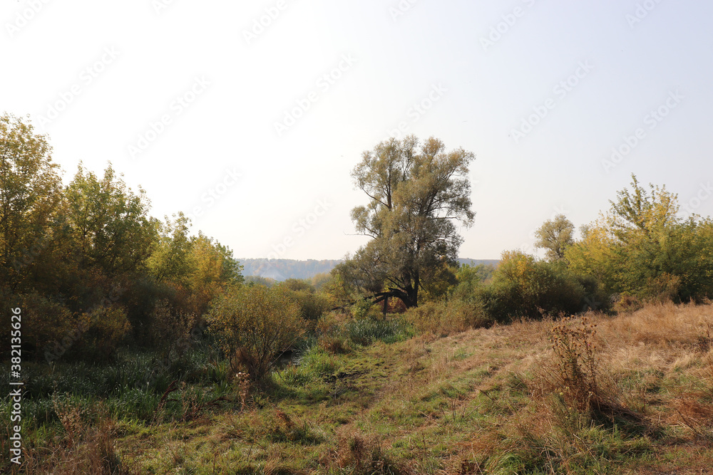 autumn landscape