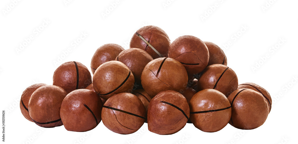 macadam nuts with clipping path macadam nuts with clipping path