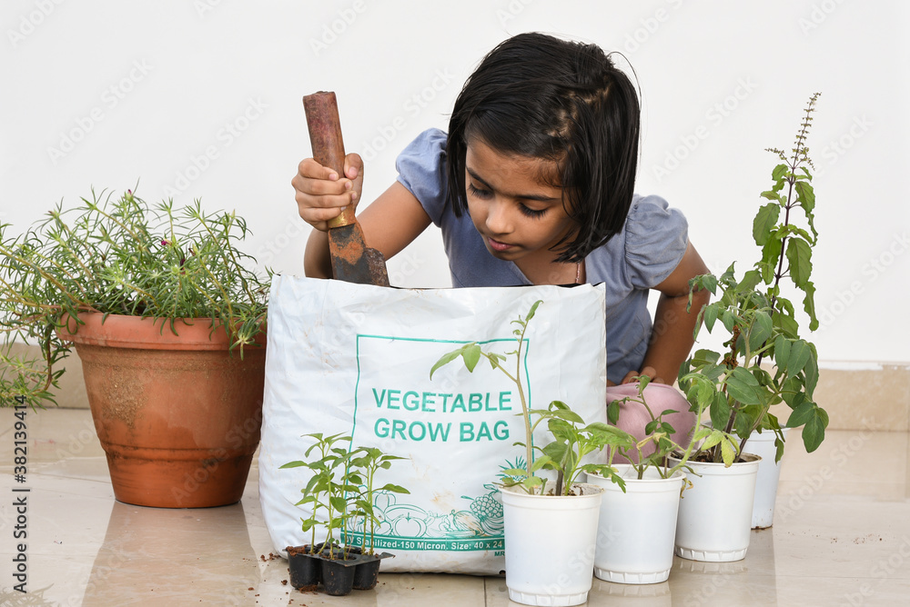Cute Young Indian Girl Kid In Her Organic Vegetable Garden Cute Little cute-young-indian-girl-kid-in-her-organic-vegetable-garden-cute-little