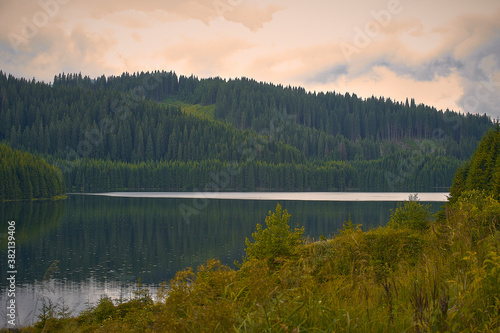 Fototapeta Naklejka Na Ścianę i Meble -  Lake, Wood, Landscape