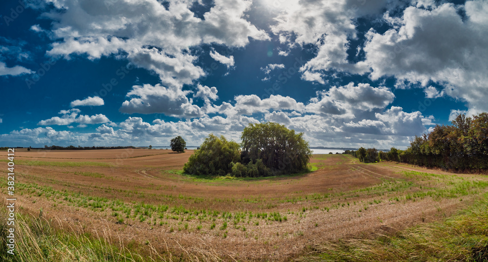 Lonely trees on Gendarmstien  Broagerland, Denmark