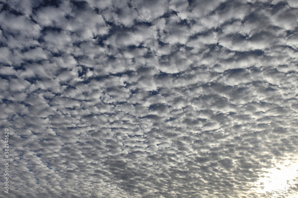 うろこ雲 うろこ雲