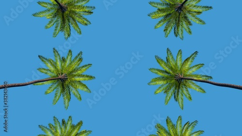 Palm Trees Passing by Under Sunny Blue Skies. Driving on a Street Lined with Palm Trees Looking Up. Like in Los Angeles Beverly Hills, California. 3d rendering. Loopable