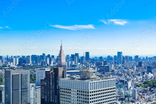 東京 都庁から眺める都心部