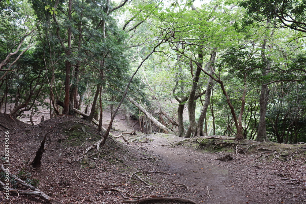 Fototapeta premium 登山家による様々な風景の撮影。みんなに伝えたいです。