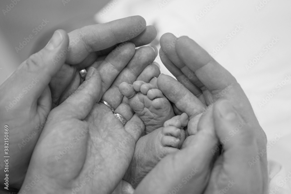 Newborn Baby's feet. Mother and father holding newborn baby legs,legs massage Newborn Baby's feet. Mother and father holding newborn baby legs,legs massage