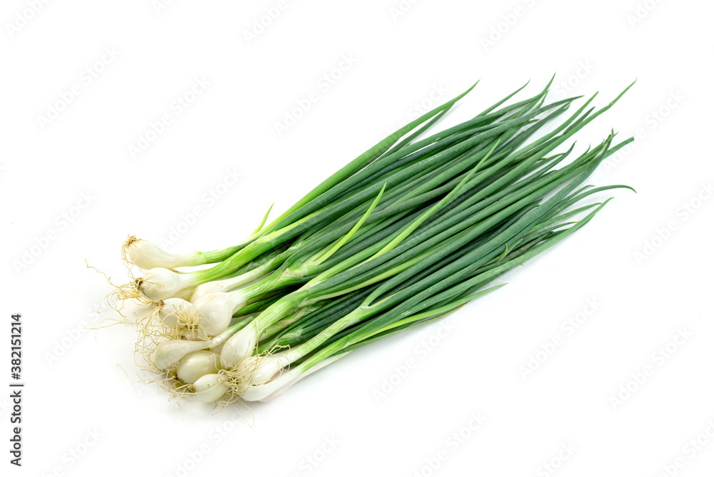 leaf spring onion isolated on white background ,Green leaves pattern leaf spring onion isolated on white background ,Green leaves pattern