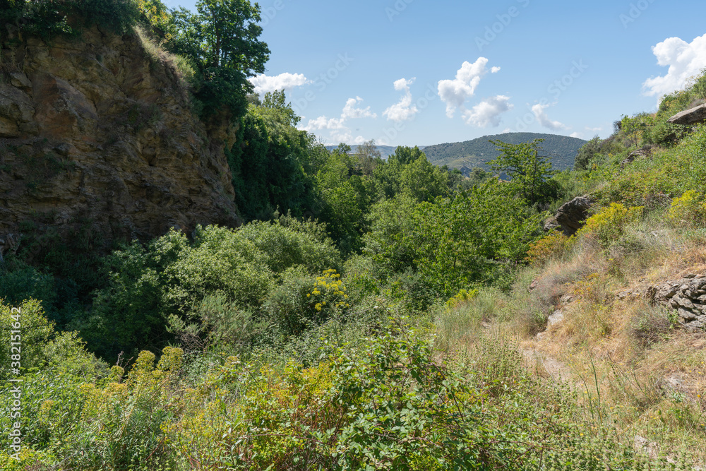 Obraz premium ravine in southern Spain with abundant vegetation
