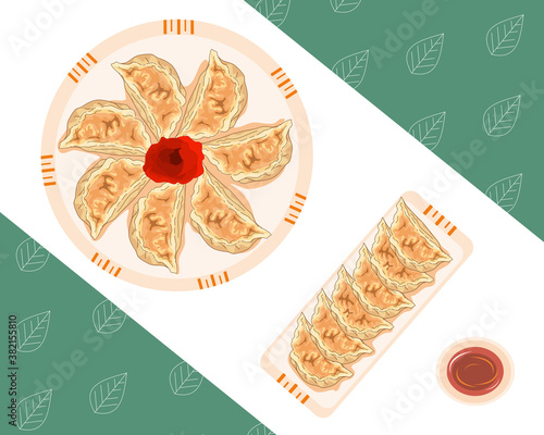 set of steamed dumpling and fried dumpling, vector illustration