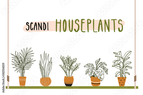 Home plants, indoor flowers, houseplants in clay pots. Simple lines vector illustration in Scandinavian interior, trendy style sanseveria, monstera, zamiokulkas, calatea, palm. Warm pastel colors