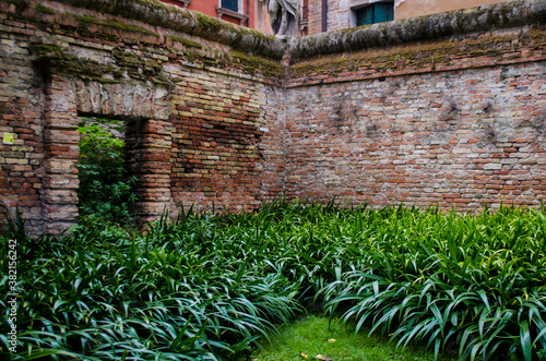 Un giardino segreto a Venezia photo