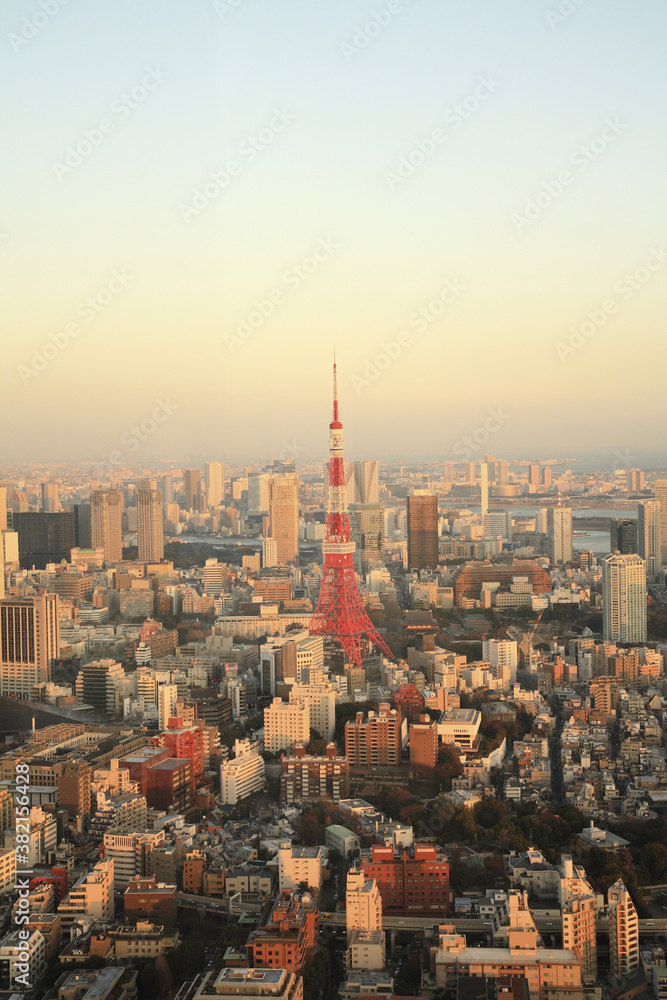 Obraz premium 東京タワー