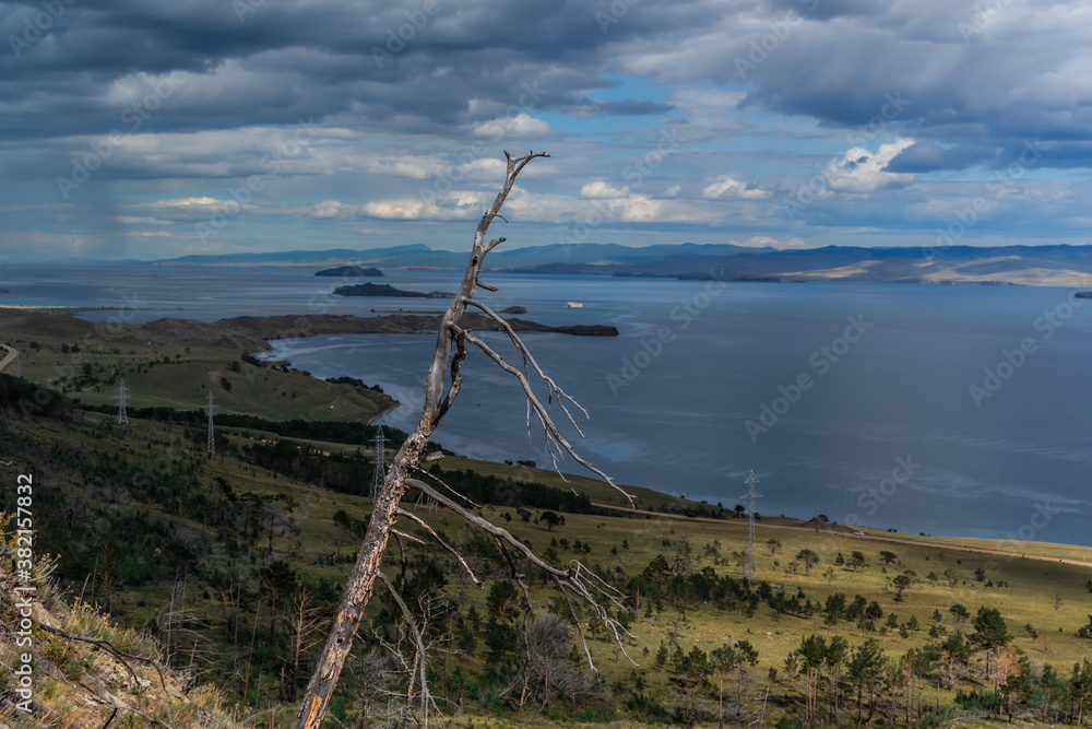 Dry dead bare tree without branches after fire, on green yellow grass on slope of mountain. Blue Baikal lake. Sky with clouds, mountains on horizon. Siberia nature landscape