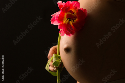 Tummy of young pregnant women silhouette on black background photo