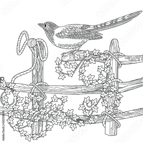 Art therapy coloring page. Coloring Book for adults and children. Colouring pictures with magpie and flowers. Linear engraved art. Bird concept. Romantic concept.