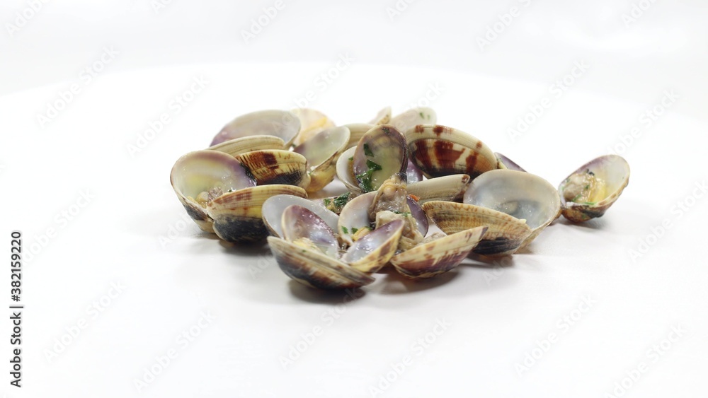 open clam shellfish seafood pasta sauce sauce open clam shellfish seafood pasta sauce sauce