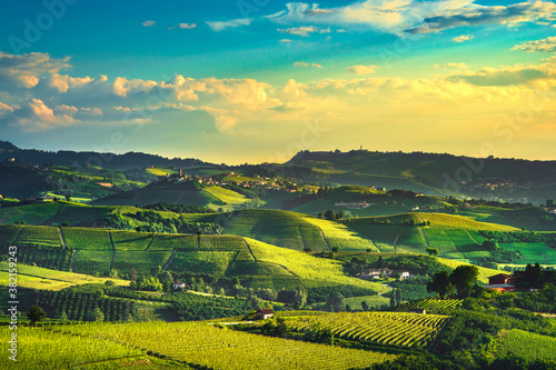 Langhe vineyards view  Castiglione Falletto and La Morra  Piedmont  Italy Europe.