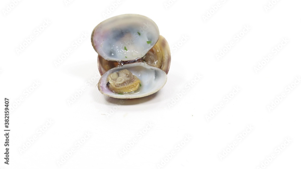 open clam shellfish seafood pasta sauce open clam shellfish seafood pasta sauce