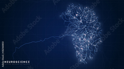 Neuron system complex model. Neural net structure. Research of the human nerve network. Digital artificial organism. Human mind cells data analysis.