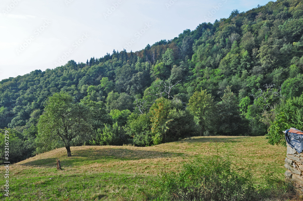Bosco e pascoli sul Cammino di Oropa fra Graglia e Sordevolo - Biella