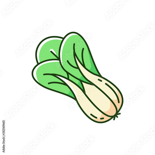 Bok choy RGB color icon. Natural vegetables options. Healthy meals components. Eco greens ingredients. Superfoods variety. Isolated vector illustration