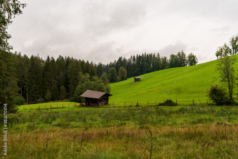 Fototapeta premium Heustadl im Wald bei Regenwetter