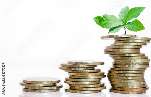 business financial planning concept. row of coins stack with green plant growth up on white background. money management sustainable savings. success investment.