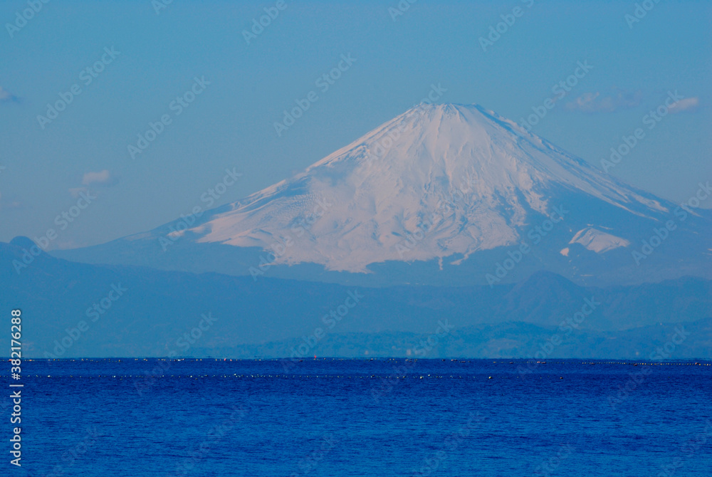 海と富士