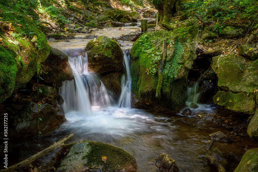 zadielska valley with a picturesque stream and green vegetation zadielska valley with a picturesque stream and green vegetation