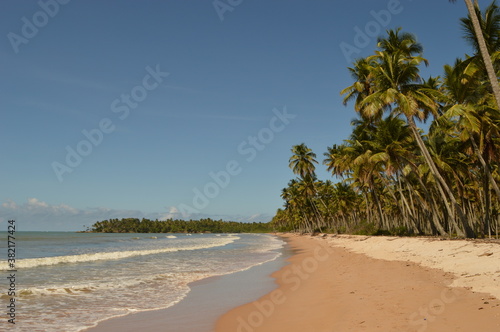 The perfect paradise beaches on island Ilha Boipeba in Brazil