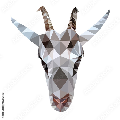 Image of a goat's head. Vector illustration polygon