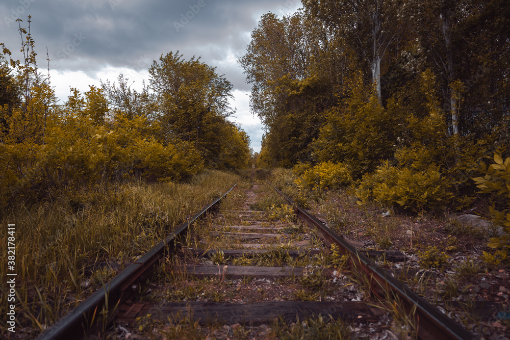 A large long train on a train track with trees in the background