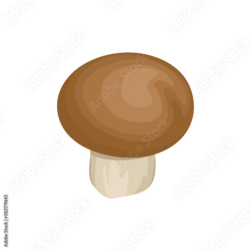 Mushroom with brown hat icon. Vector illustration. Cartoon flat style.