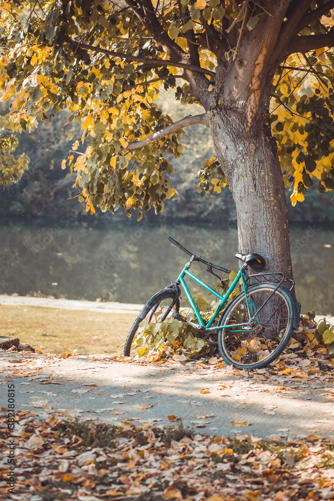 Fototapeta premium Blue bicycle leaned on the tree. Autumn time
