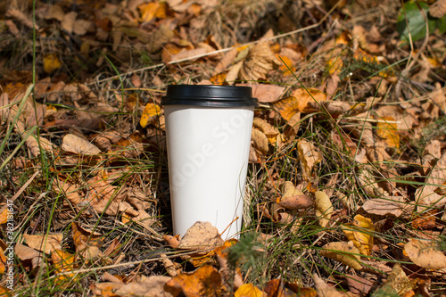 Autumn Cup of coffee on fallen yellow maple leaves. Autumn romantic atmosphere