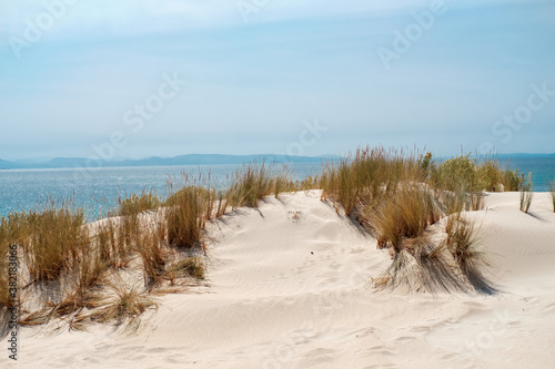 Beautiful beach landscape. Blue sky. Dune. White sand. Horizon. Sunny day. Empty nature. 
