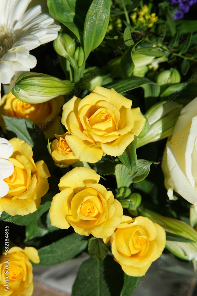 Fototapeta premium Flower bouquet, gerbera flower, roses