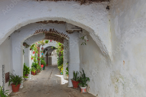 walk through the city of tetouan, morocco