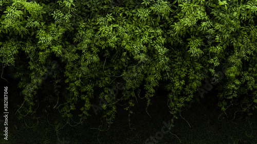 Full background of green leaves and vines cascading down a fence