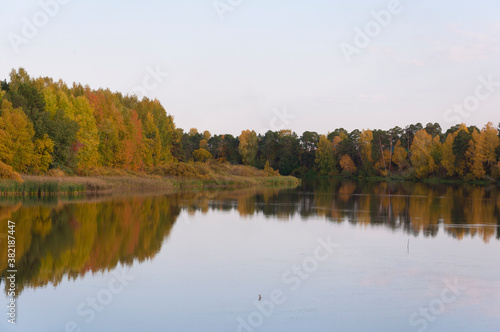 Autumnal lake shore with forest under blue sky. Colorful fall foliage reflecting on surface of calm water.