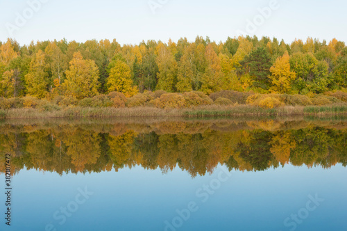 Autumnal lake shore with forest under blue sky. Colorful fall foliage reflecting on surface of calm water.
