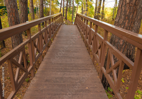 Straight footbridge through the autumn forest