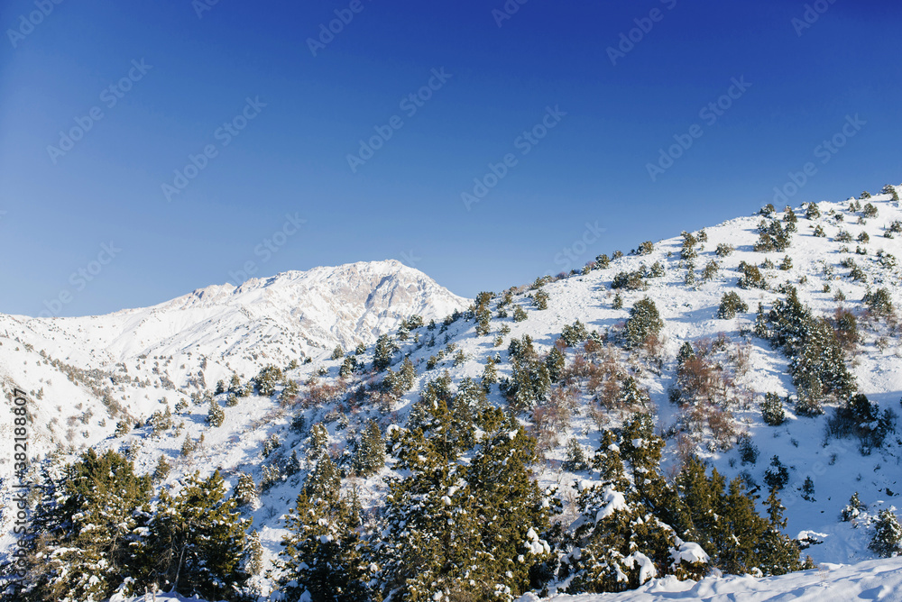Snowy mountain peaks covered with snow on a frosty winter day