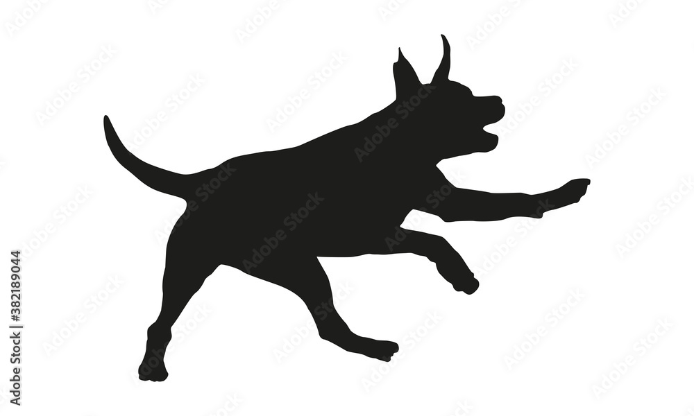 Black dog silhouette. Running american staffordshire terrier puppy. Isolated on a white background.