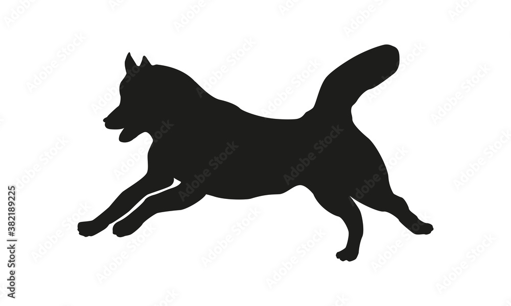 Black dog silhouette. Running siberian husky. Isolated on a white background.