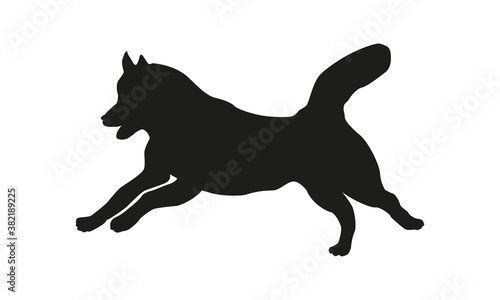 Black dog silhouette. Running siberian husky. Isolated on a white background.
